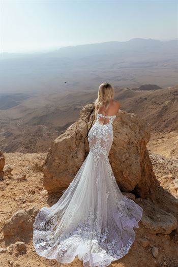 דימיטריוס דליה